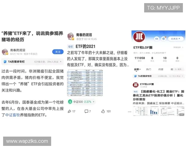 凯时KS投注官网入口,稳定安全保障玩家资金安全 凯时KS投注官网入口,稳定安全保障玩家资金安全